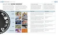 Beginner's Photography Guide