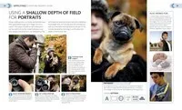 Beginner's Photography Guide
