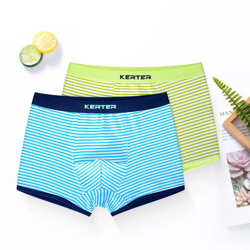 Boxer Pure Cotton Children's Underwear Boxer Boys Underpants