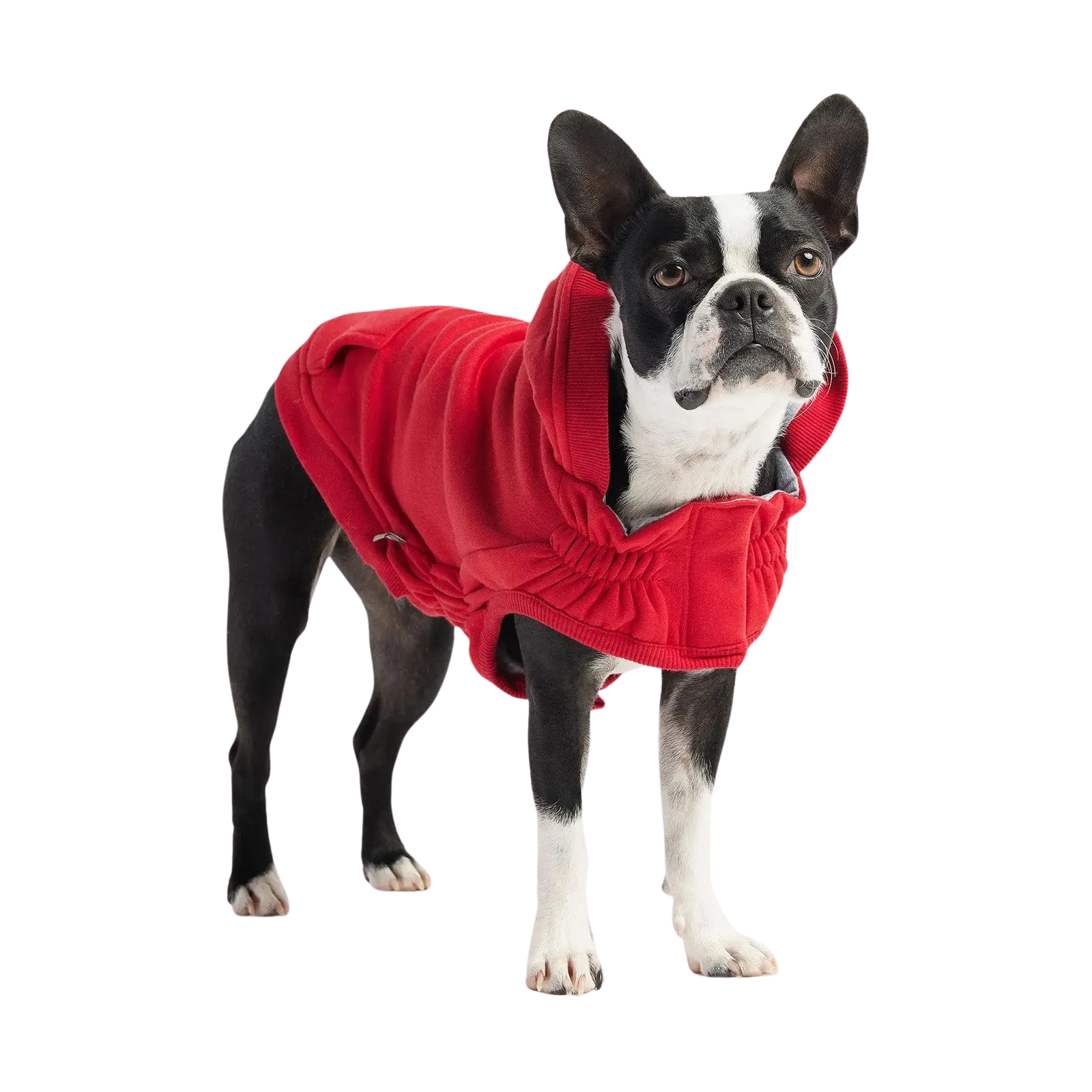 GF Pet Urban Hoodies