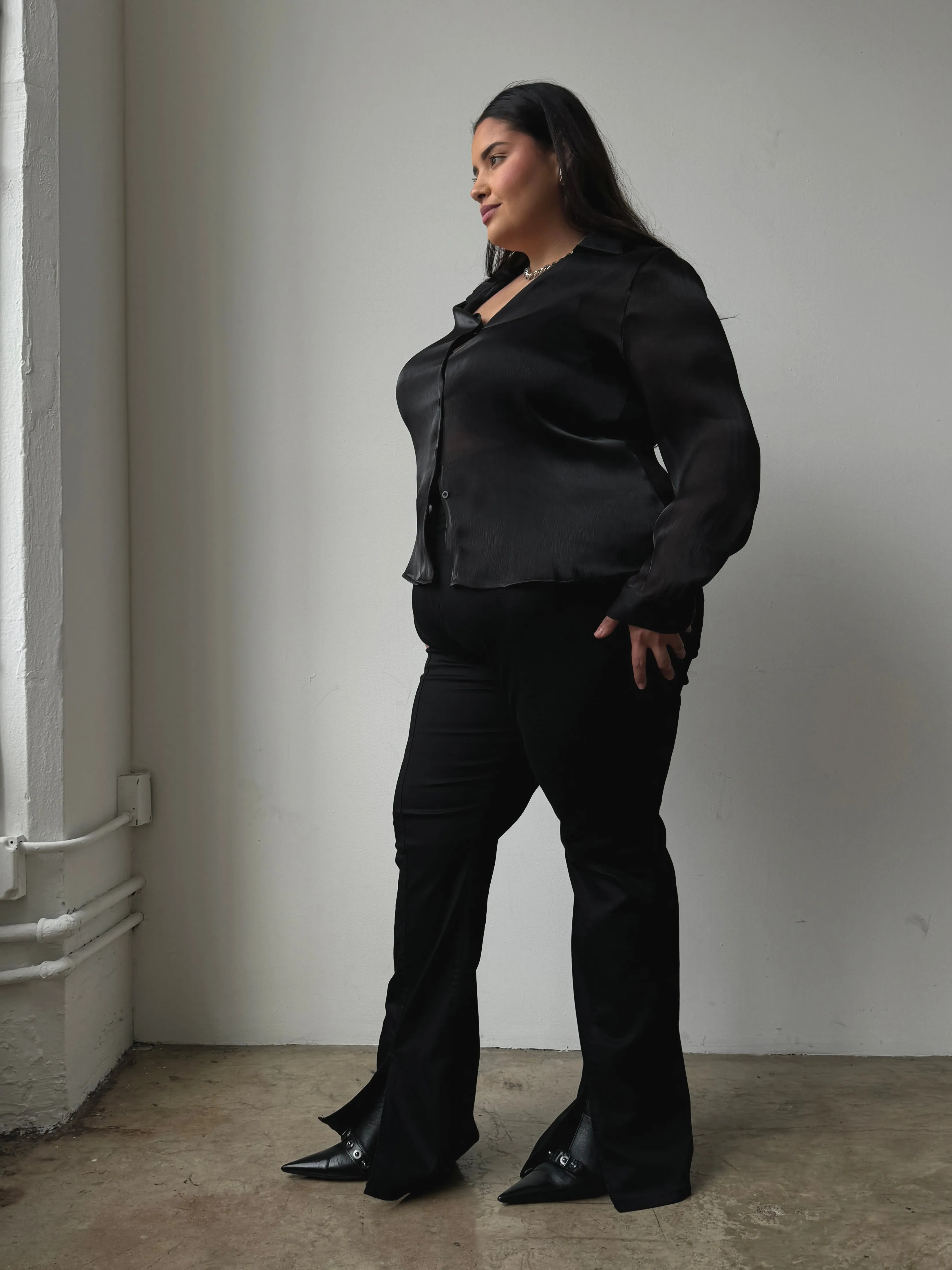 Plus Size Button Front Sheen Blouse